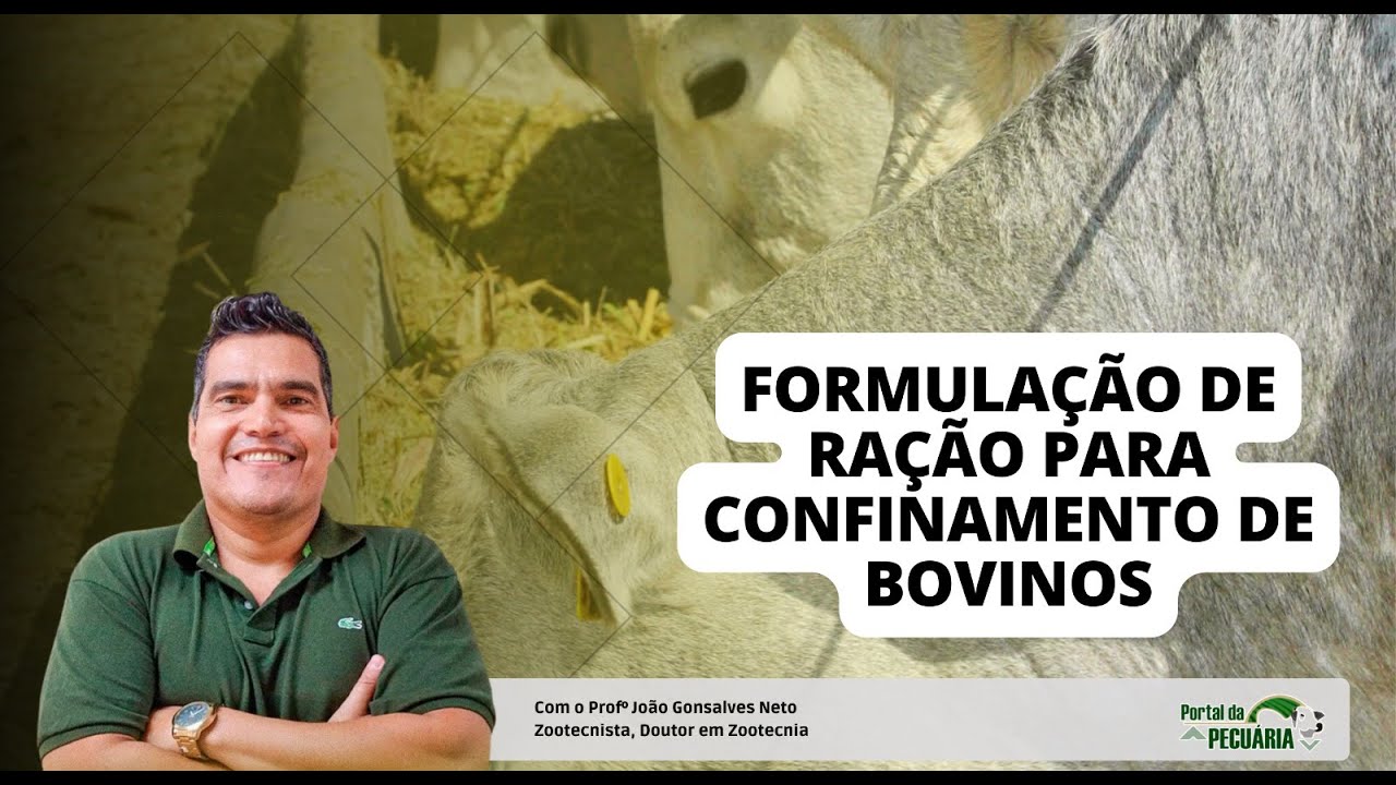 Formulação de ração para confinamento de bovinos