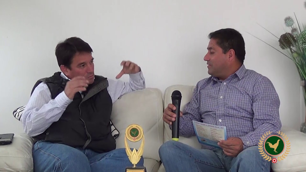 Entrevista a Ernesto Grimaldi - CCGP 2017