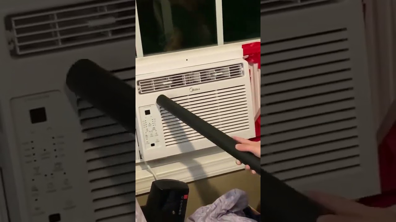 Stink Bugs Invade Air Conditioner!