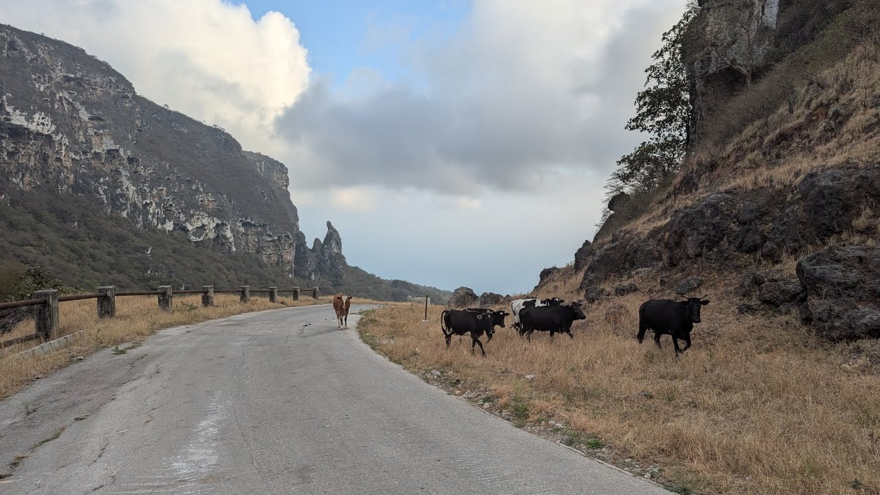 Drive down through the cloud forests of Dhofar mountains - Sarfayt, Oman