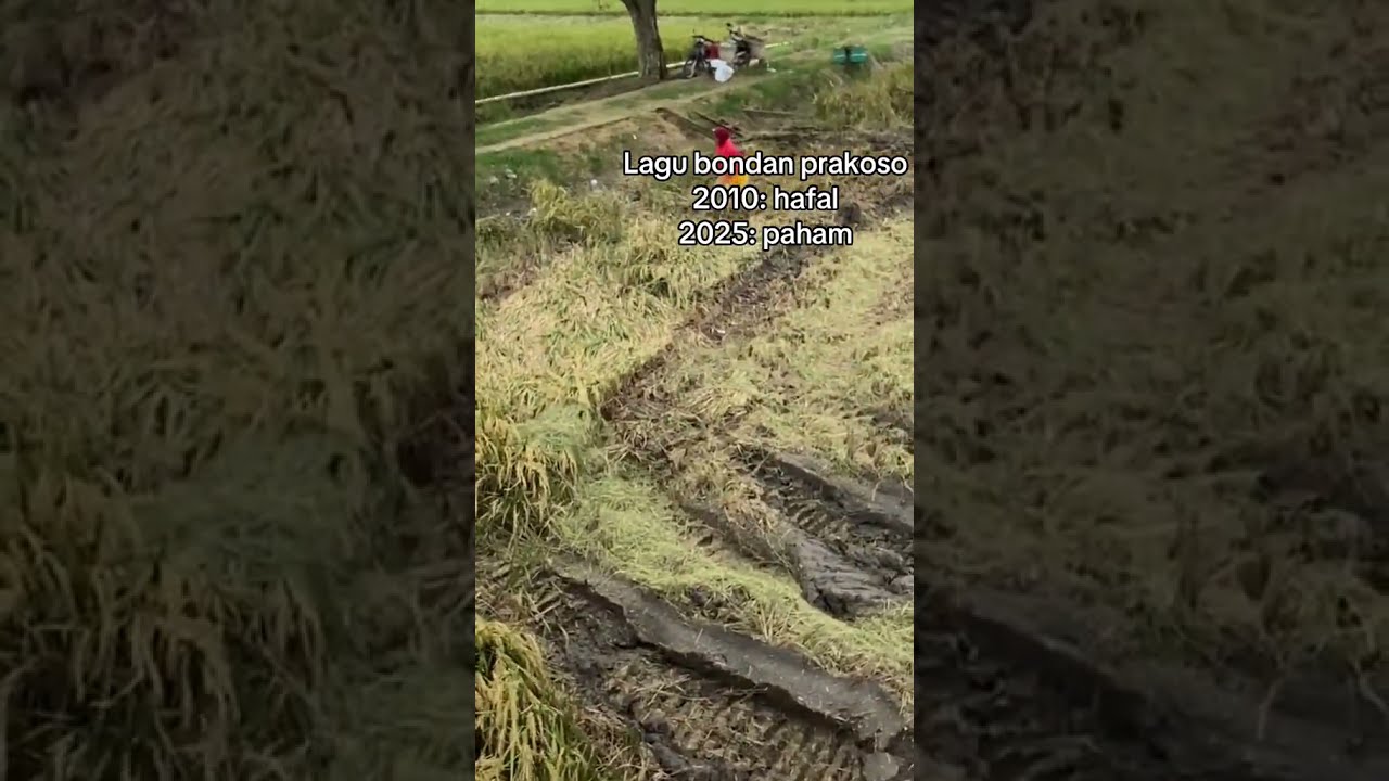 MAXXI ||  #combineharvester #automobile #maxxibimo102standar #farming #maxxibimoterbaru #maxxibimo