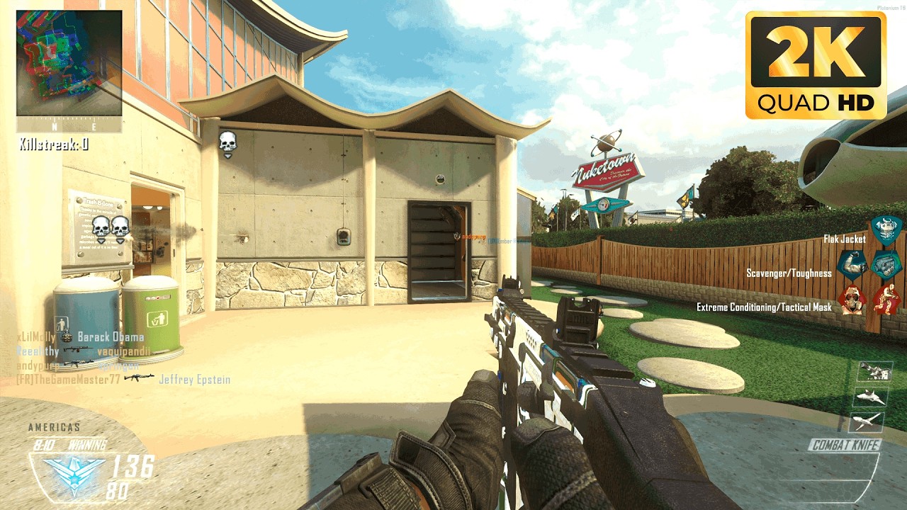 BLACK OPS 2: TEAM DEATCHMATCH - VEKTOR K10 CUSTOM CAMO 