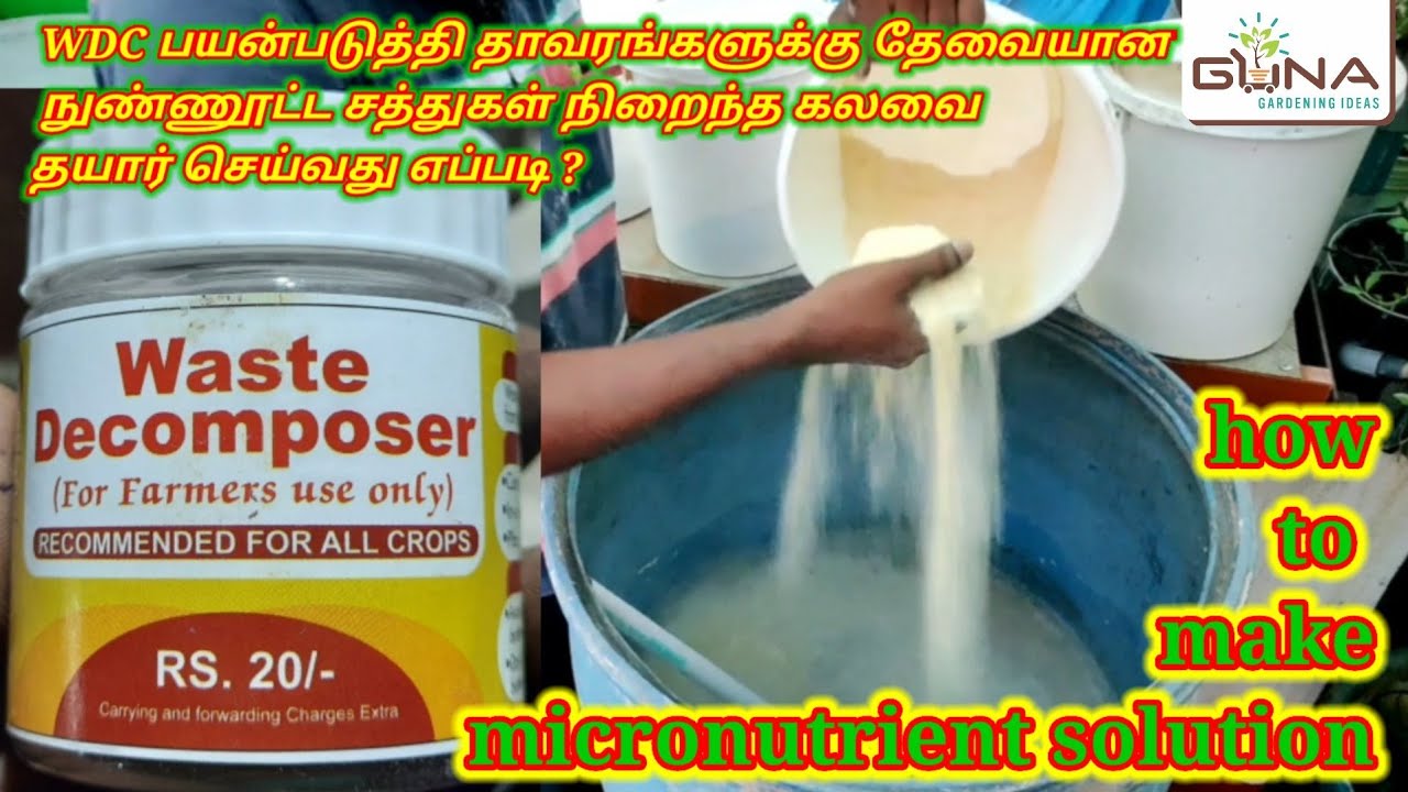 WDC பயன்படுத்தி நுண்ணூட்ட சத்து கலவை தயார் செய்வது எப்படி ? how to make micronutrient solution.