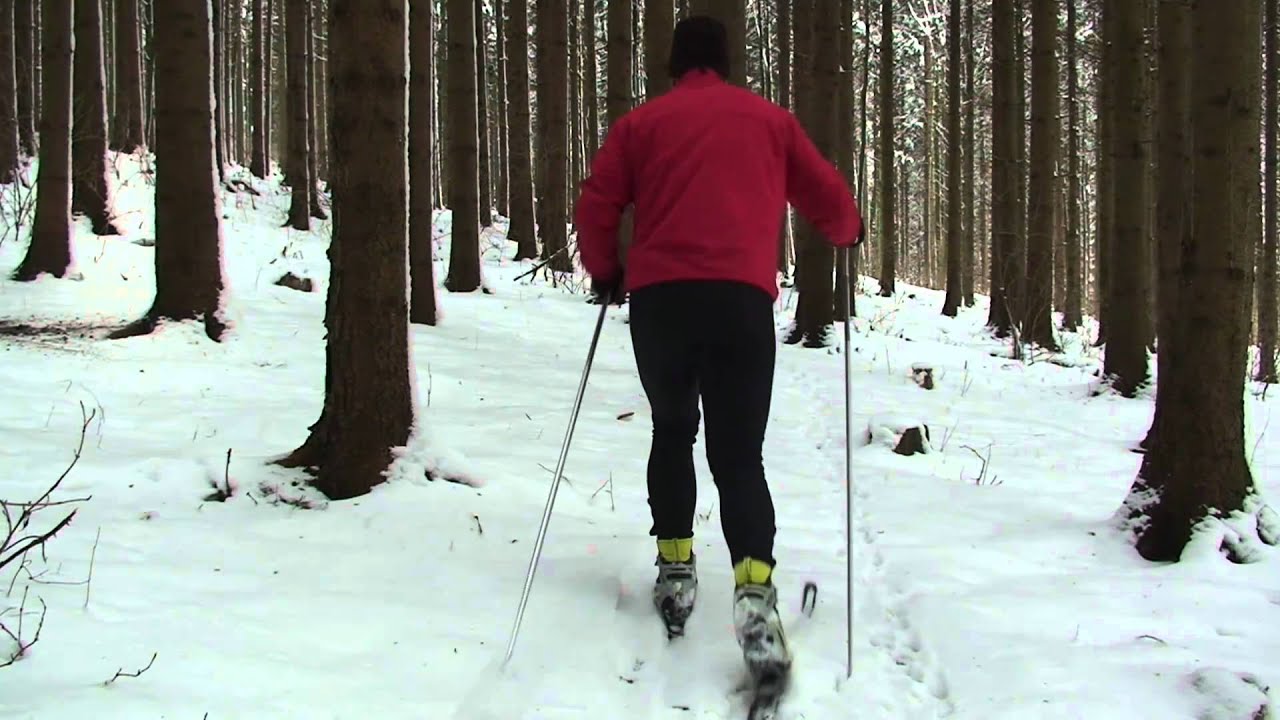 Nordic Cruising