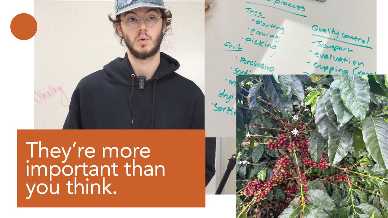 The Hidden World of Coffee Varieties