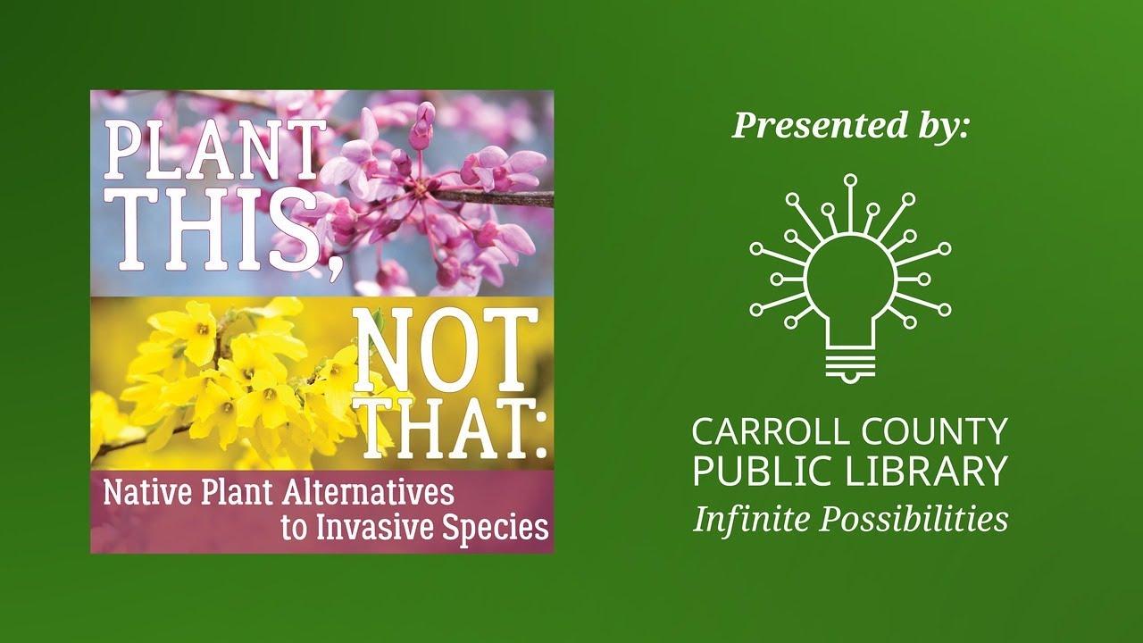 Plant This, Not That: Native Plant Alternatives to Invasive Species