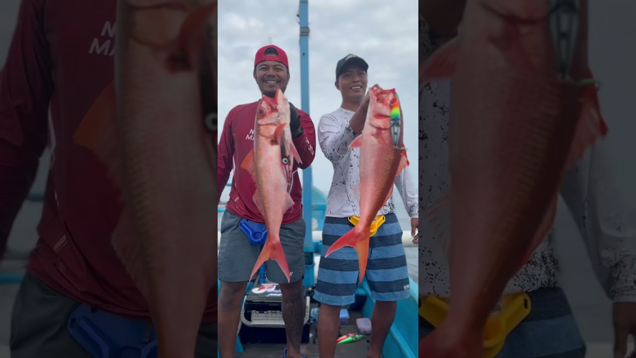 Moment ikan sedang rame yuhuu #calmdown #mancing #jigging #yuhuu