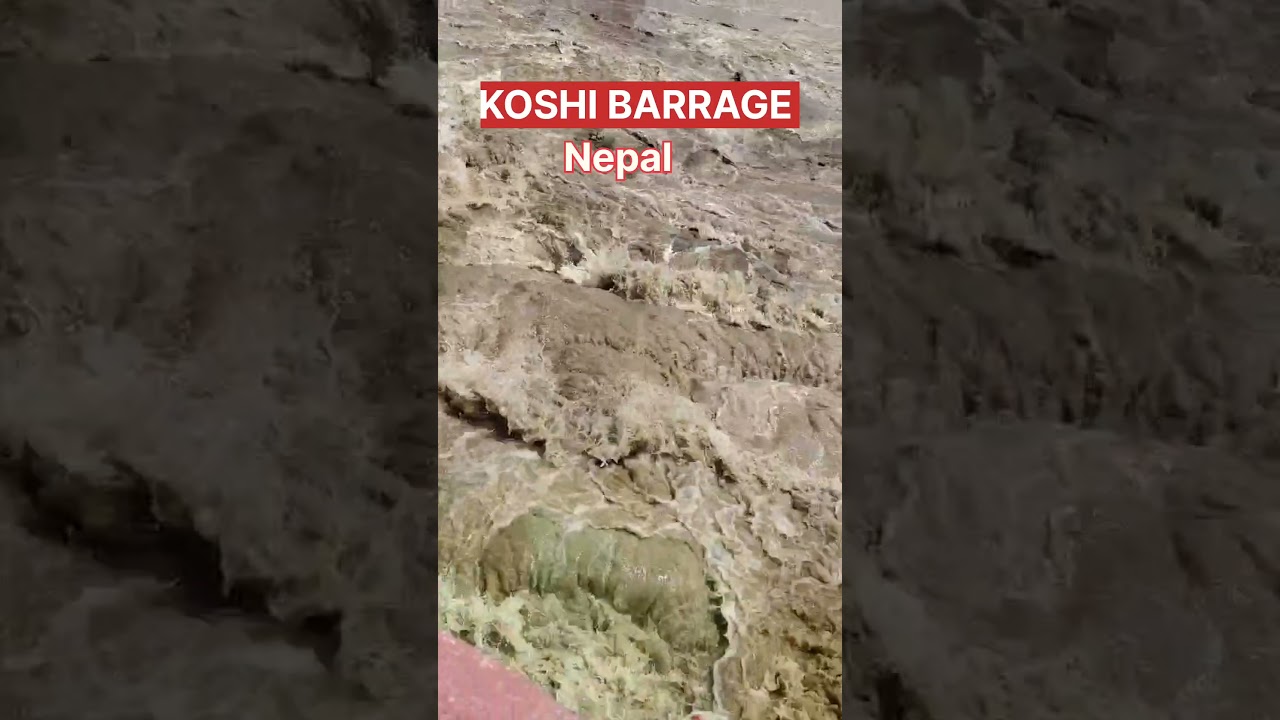 Koshi Barrage | Koshi Barrage Bihar | Koshi Barrage Nepal | #koshibarrage