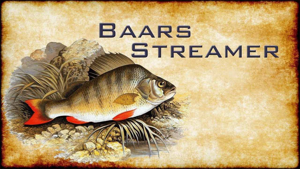 BAARS STREAMER