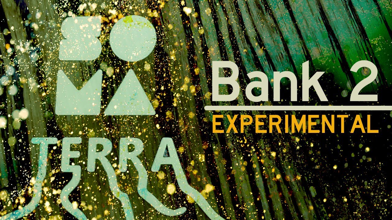 SOMA Terra - Bank 2 (Experimental), No talking, 4K