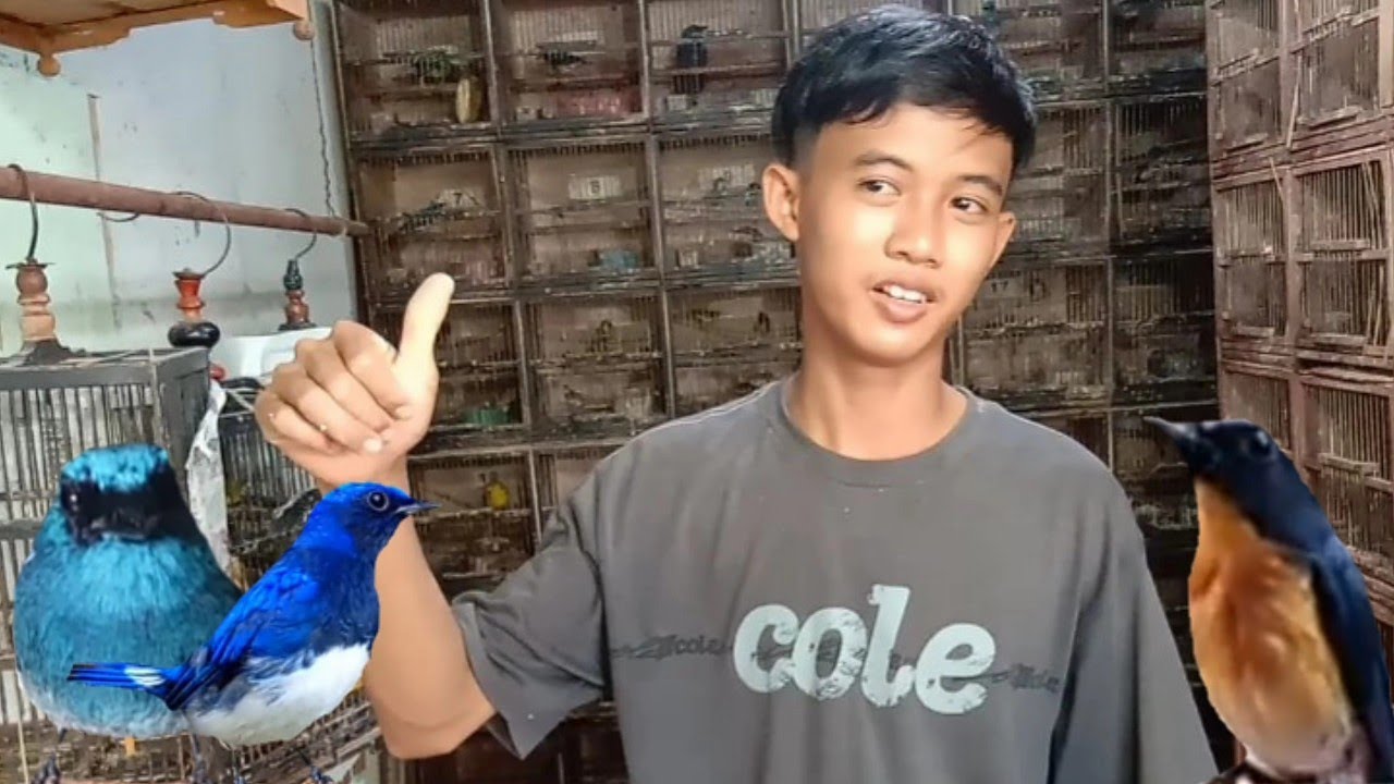 READY TLEDEKAN!!! LAUT, BIRU, GUNUNG, JATI BETINA, DLL, KIOS 