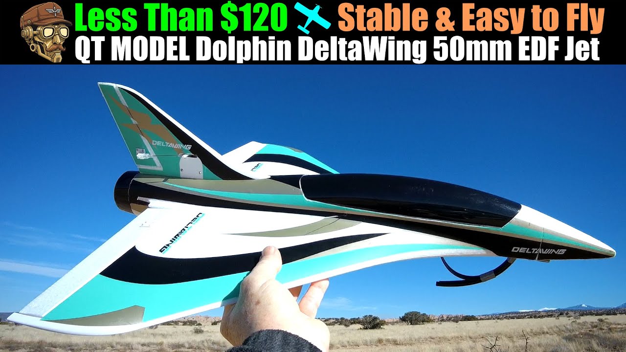 Менее 120 долларов! Стабильный и простой в управлении! Dolphin DeltaWing 50mm EDF Jet 550mm PNP