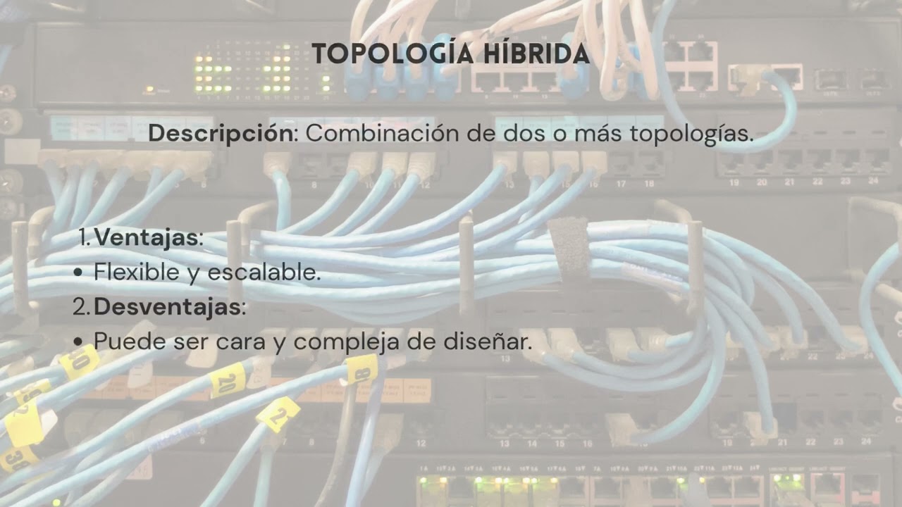Video expositivo sobre las topologías estudiadas. GA2-220501104-AA1-EV02.