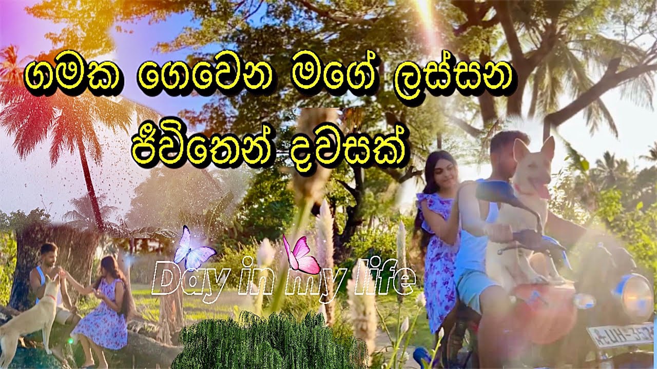🍃🌸එයා අතින් හදලා දෙන කෑමත් එක්ක ගෙවුන ලස්සන දවසක්❤️🦚| #heartofthevillage #simplelife #dailyvlog