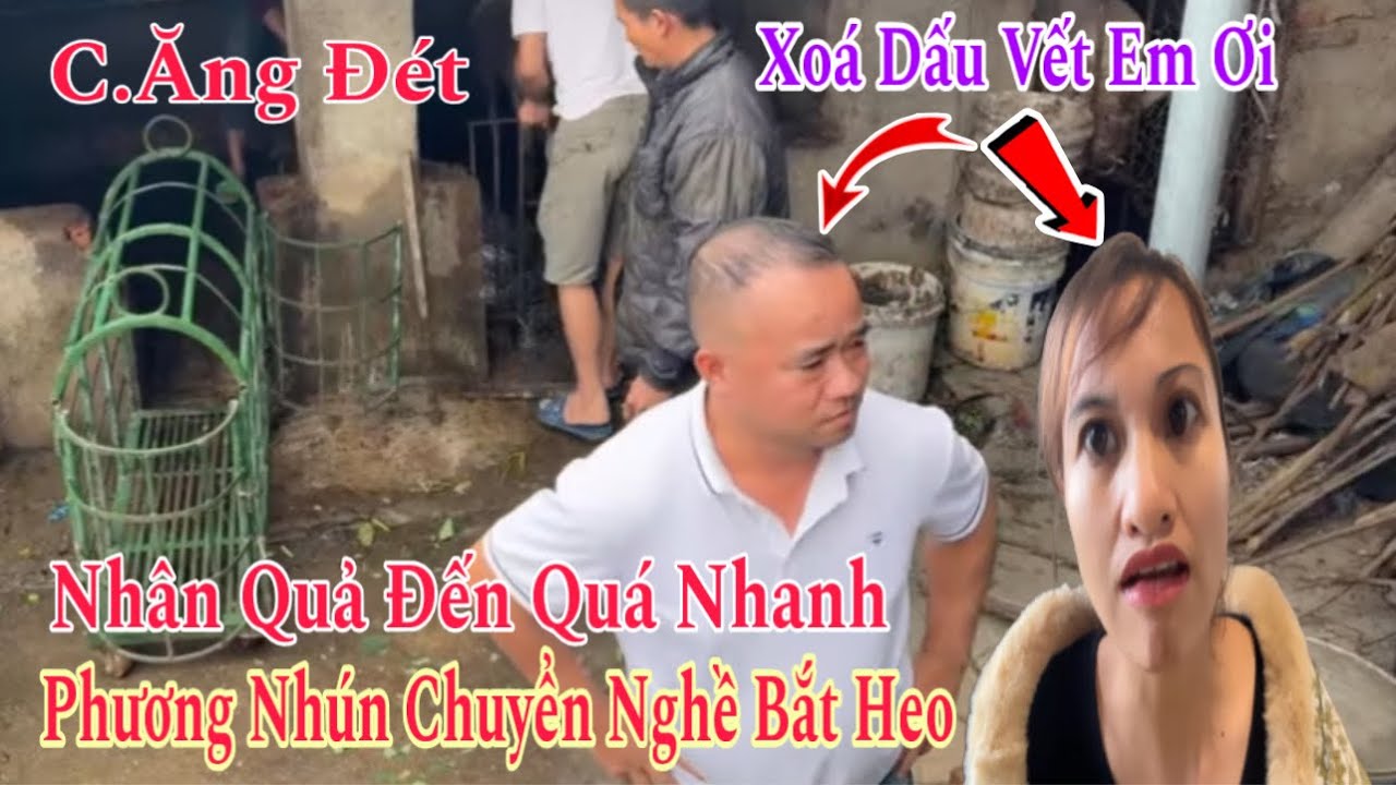 Nghiệp Đã Trổ Kền Kền Sắp Vỡ Tổ ,Phương Nhún Xóa Kênh Youtube Gấp Để.......