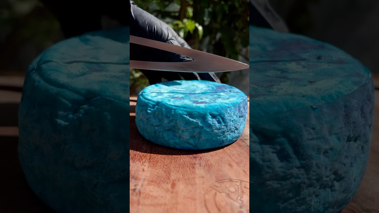 Queijo Da Santa: o queijo que transforma qualquer momento em especial 🧀💙 #Fusqueij&atilde;o