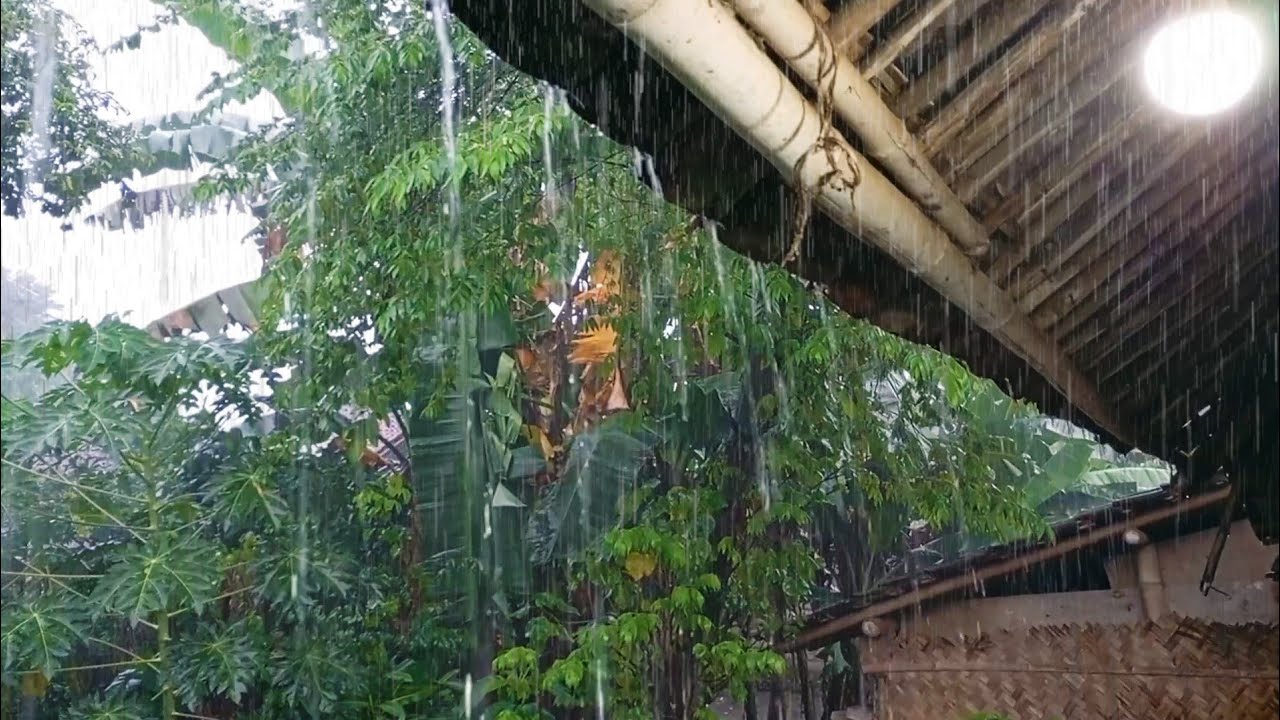 Relaksasi suara hujan☔ pengantar tidur nyenyak...