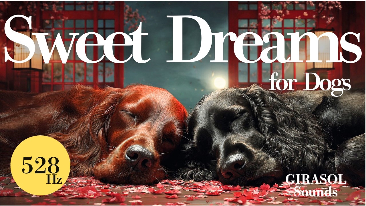 Soothing Lullaby for Dogs to Sleep Calmly
