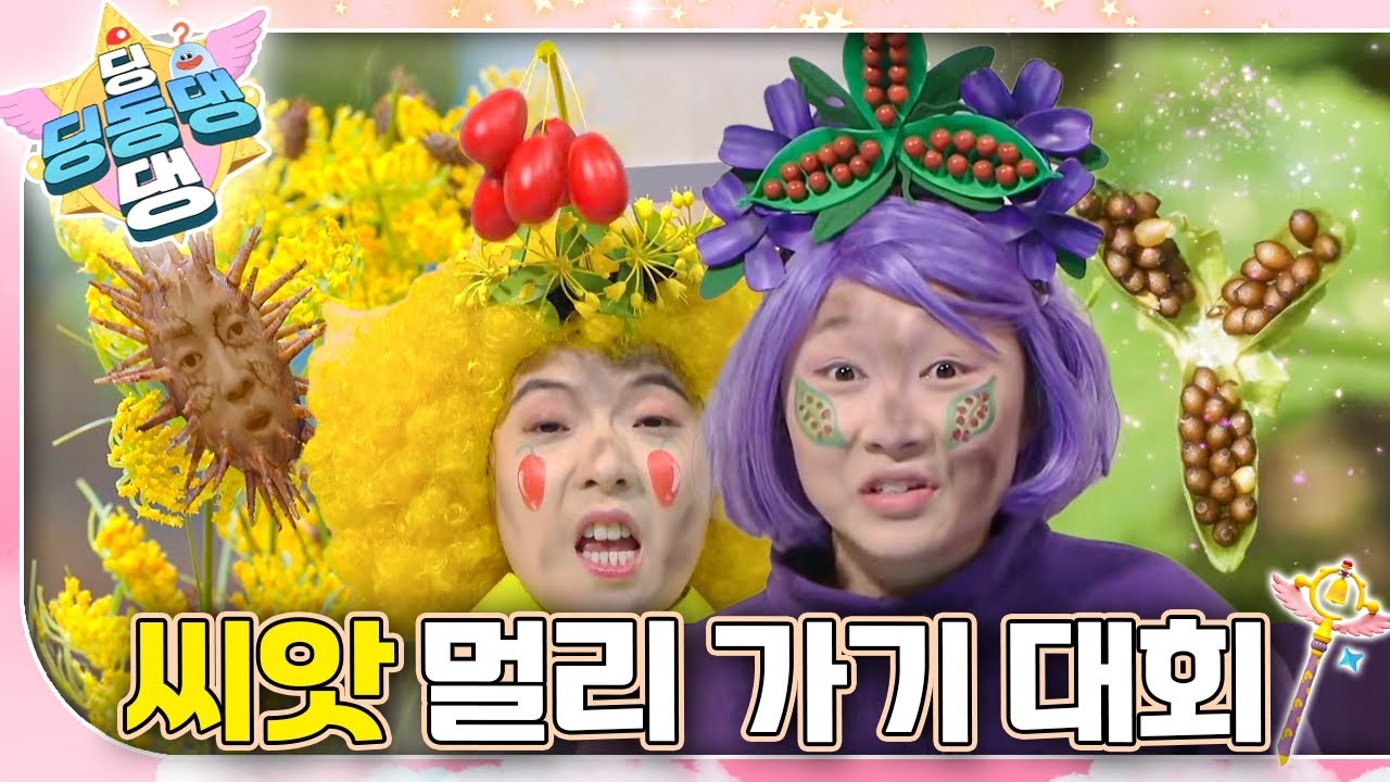 씨앗 멀리 가기 대회 참가자들이 잘못 떨어져서 병원에 실려 왔어요!ㅣ딩동댕 딩동댕ㅣ씨앗 멀리 가기 대회
