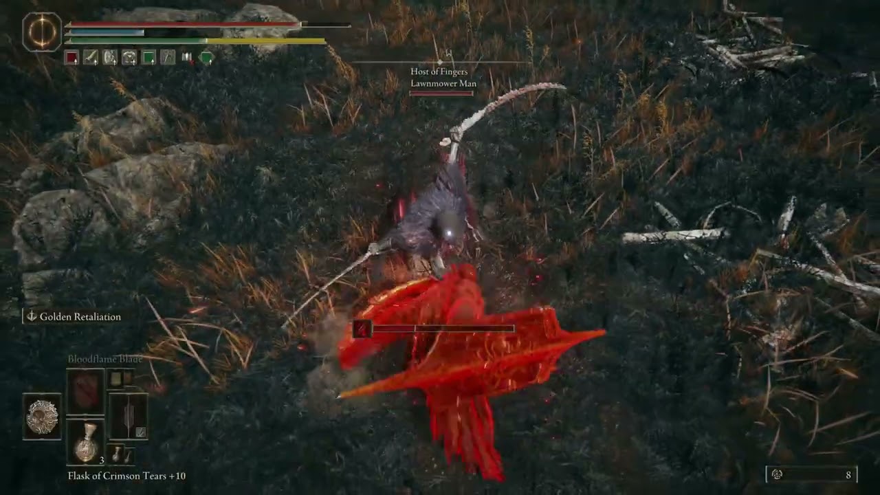 ELDEN RING™ shield build fail🛡