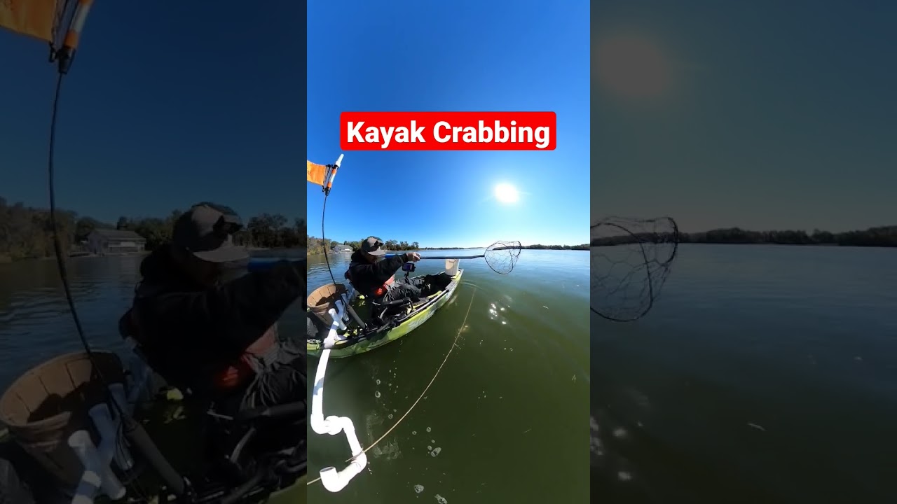Kayak Crabbing On A Hobie Pro Angler 360. #shorts