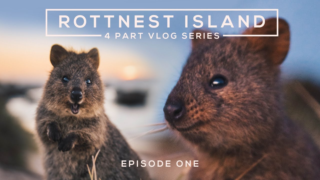 MY FIRST VLOG - Rottnest Island ft. Daxon