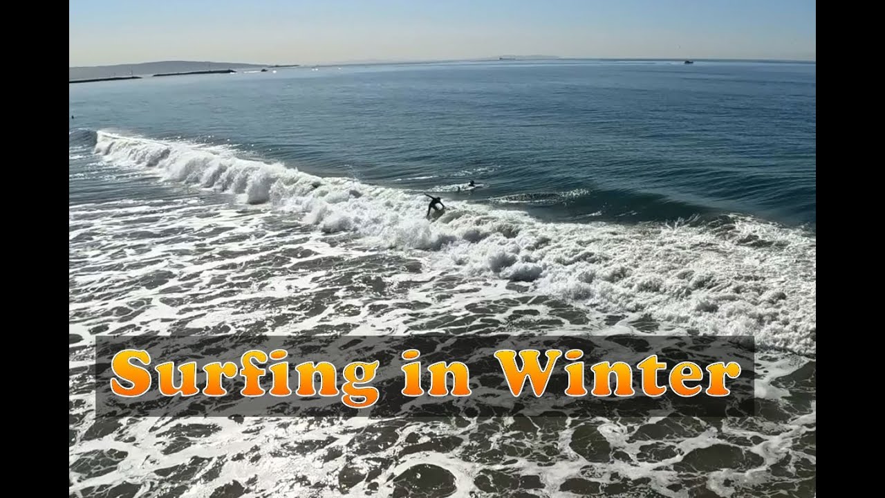 Venice Beach and the Winter of 2026  No Ai used All Natural 1/29/2026