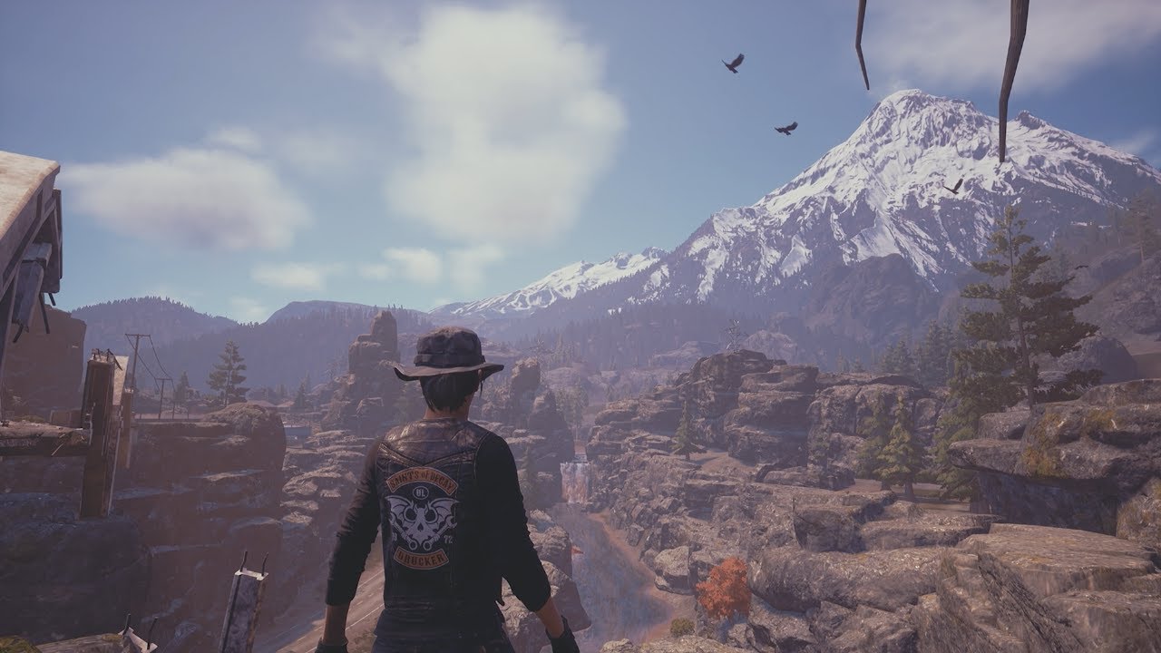 I Survived In Lethal Zone While Only Having One Survivor From The Start On State Of Decay 2