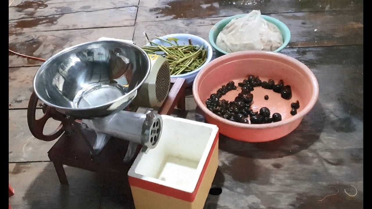 Máy xay thức ăn cho cá, thứ gì cũng xay được, cả óc, xương heo, gà