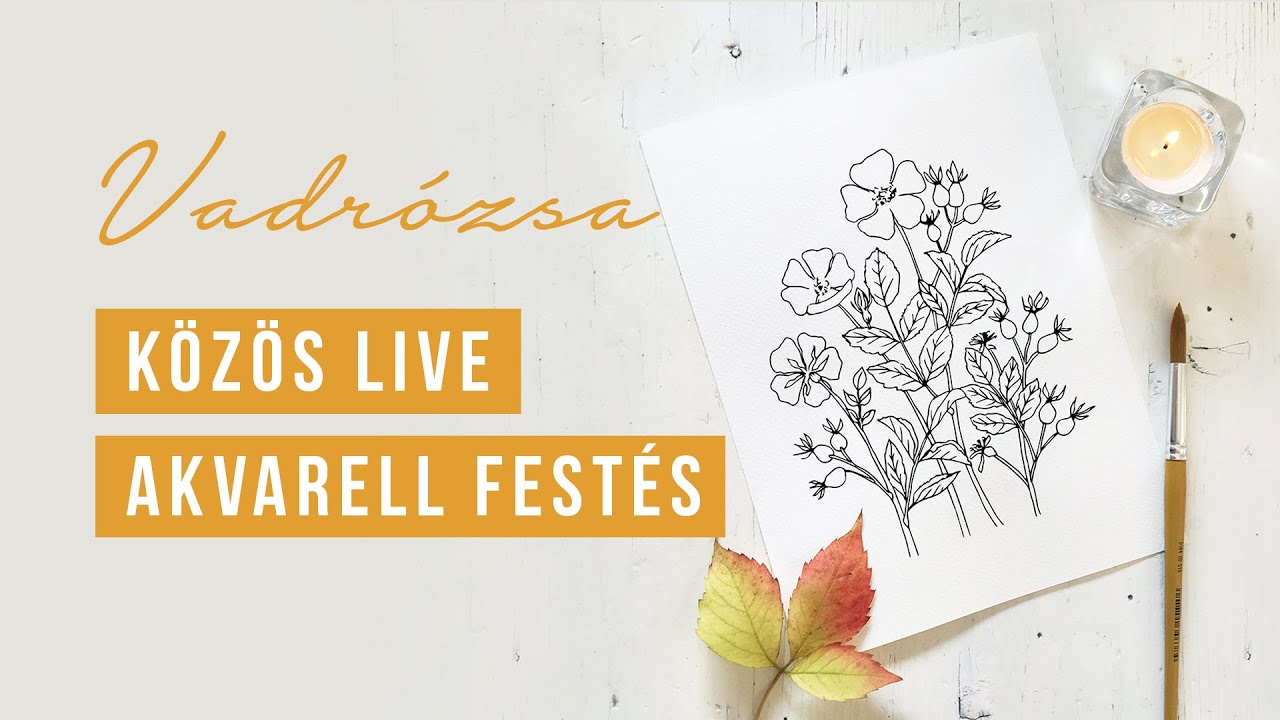 KÖZÖS FESTÉS - Vadrózsa botanikai illusztráció  | akvarell festés kezdőknek
