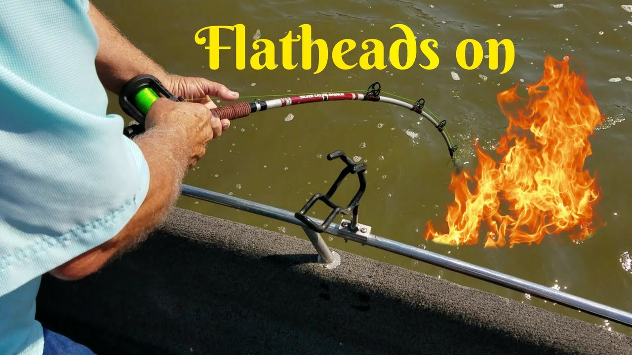 HOTTEST MONSTER Flathead bite EVER!!!
