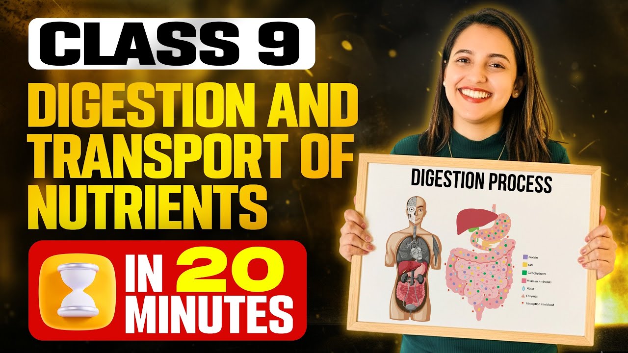 Class 9 Biology | Chapter 4 | Digestion and Transport of Nutrients | Full Chapter | Exam Winner