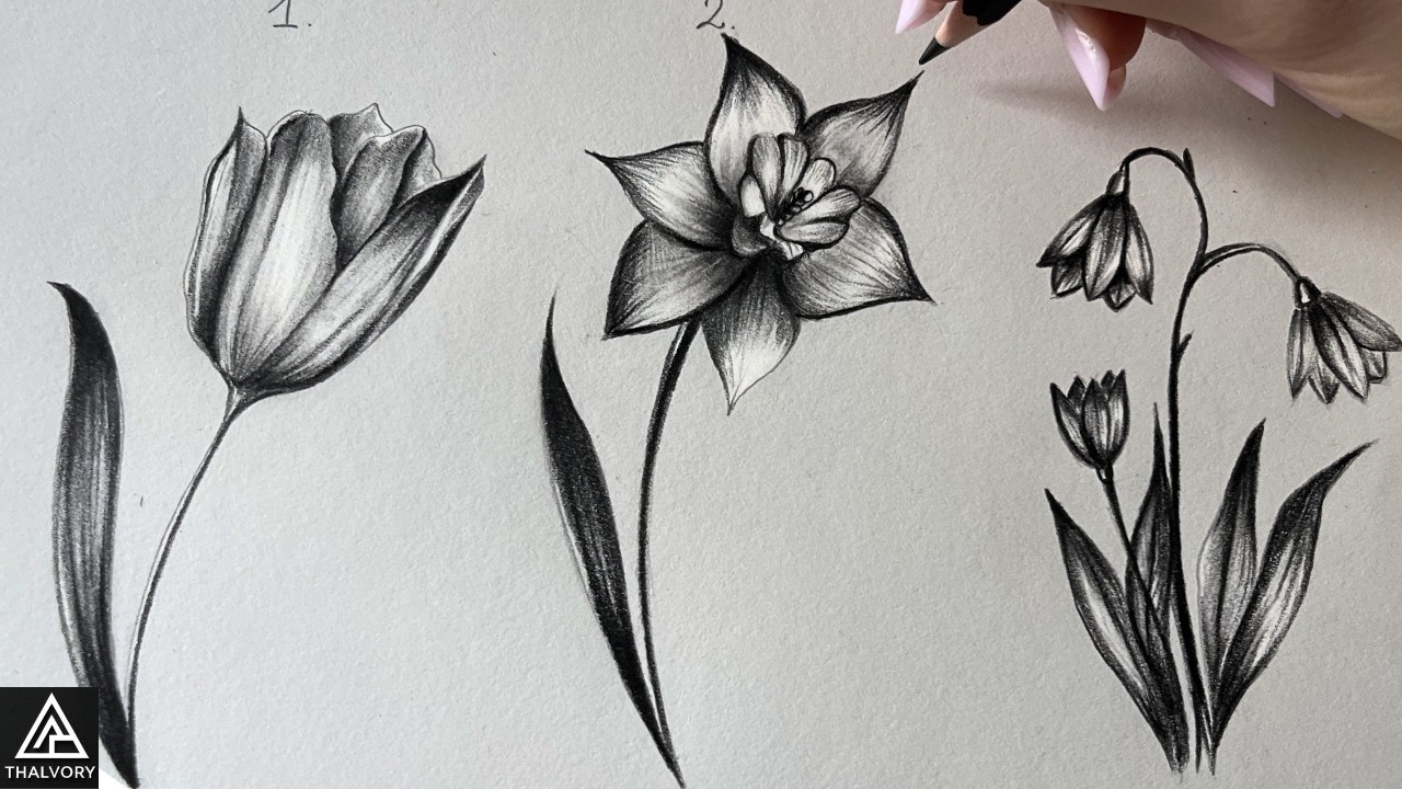 How to Draw Realistic Flowers 🌷 Tulip, Daffodil & Snowdrop | Step by Step Tutorial