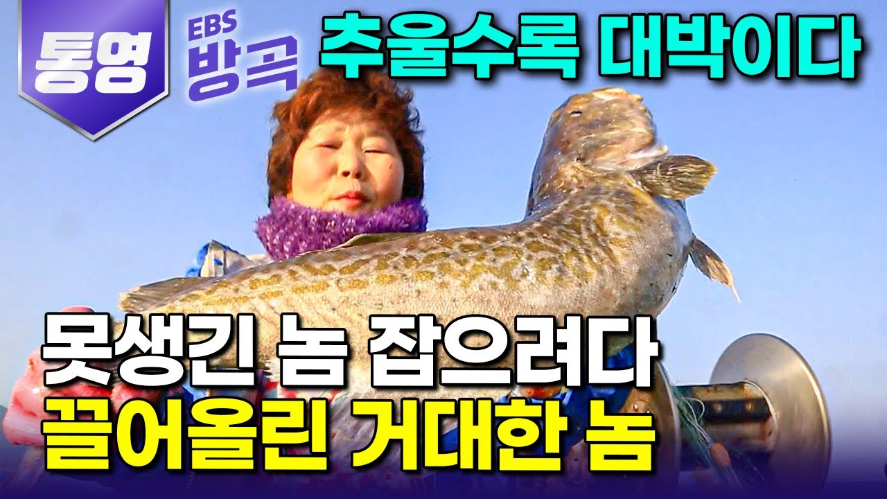 [경남 통영] 