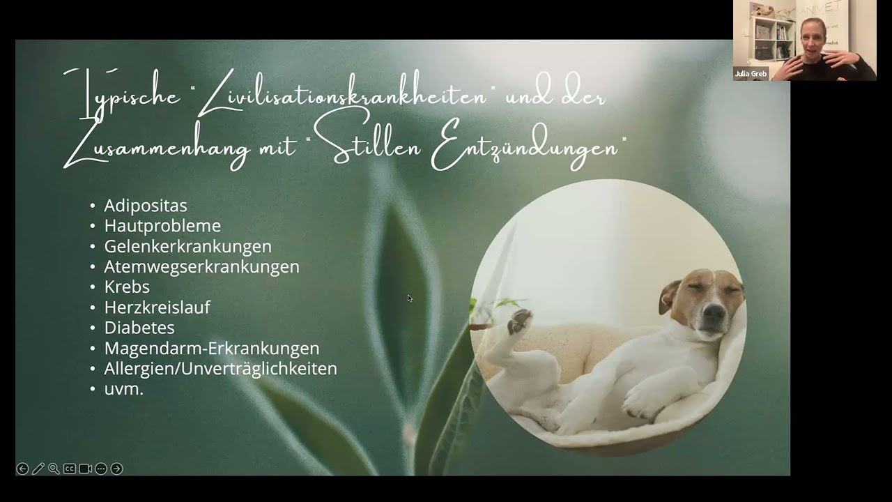 Stille Entzündungen Mensch/Tier KP