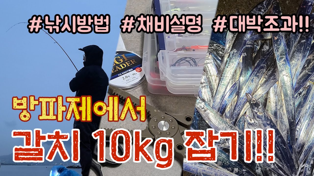 갈치낚시 ! 루어로 해보세요. 제가 다~ 알려드리겠습니다 !!
