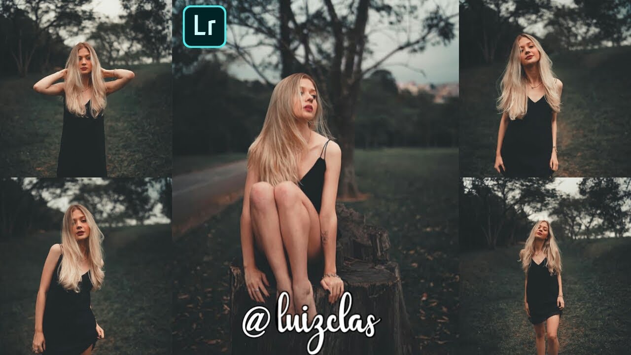 lightroom mobile presets free dng | @Luiz Claudio inspired lightroom presets free download