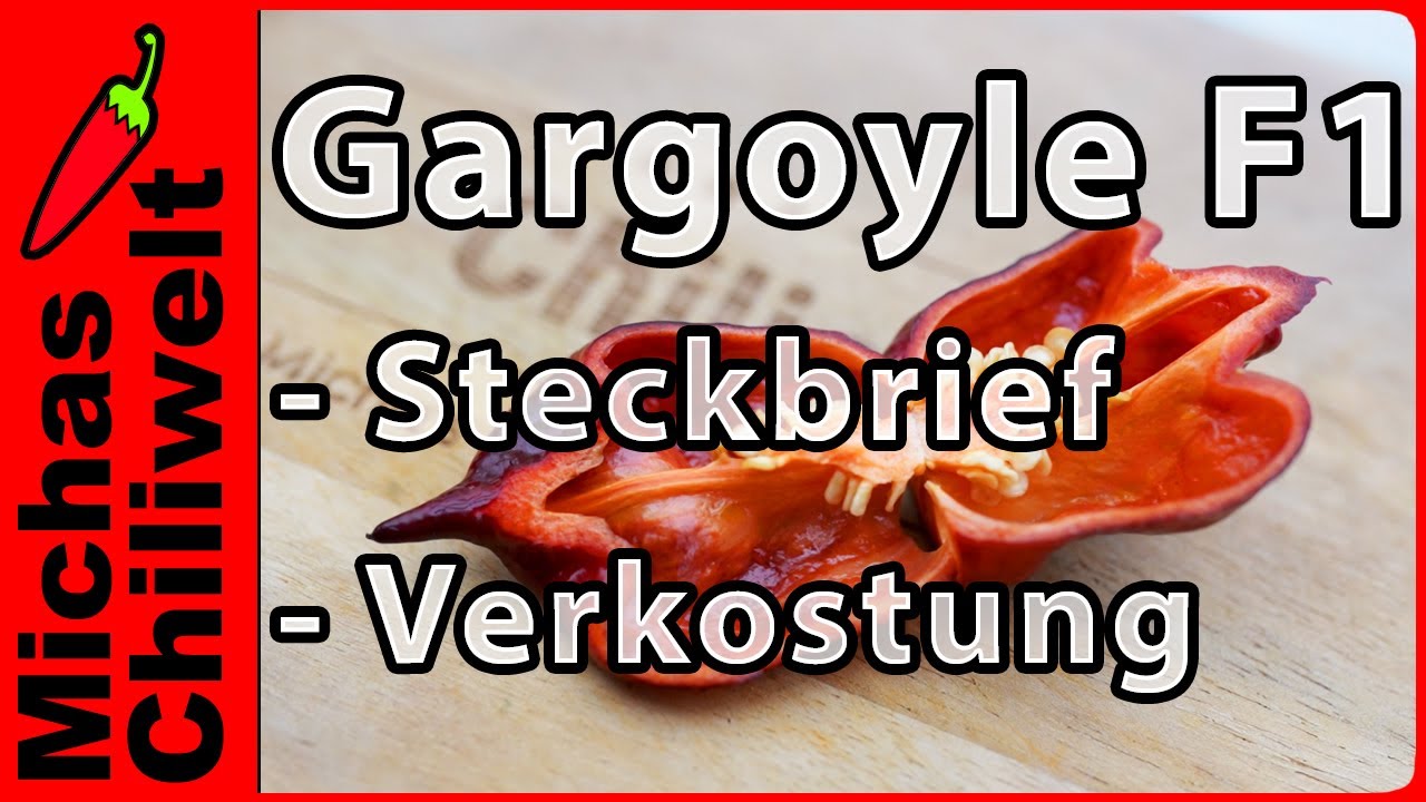 Gargoyle F1  |  Steckbrief und Verkostung  |  Sabines Endgegner  |  Chili Sorten  |  Chilis