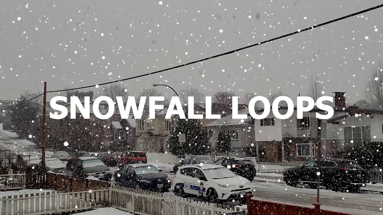 ❄️ 8 Hours of Snowfall & Reverse Effects for Sleeping | Steady Snow Drops for Relaxation & Studying