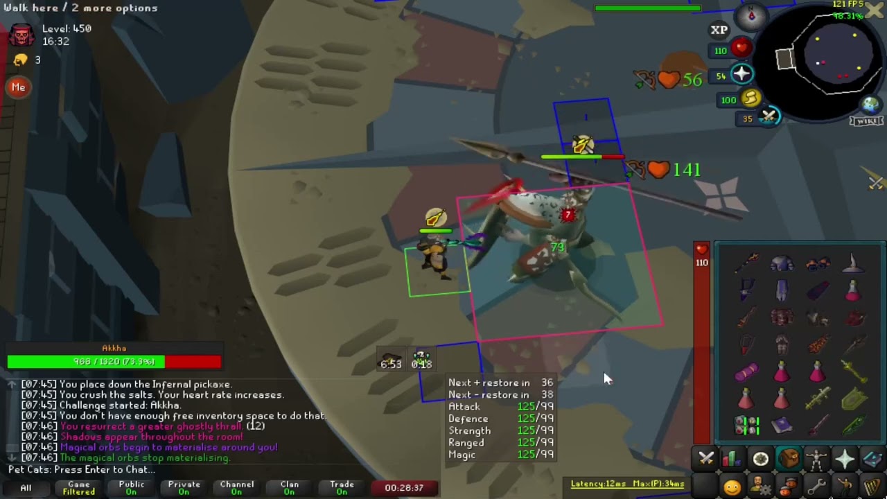 OSRS ToA 450 Solo (Baba + Warden Metamorph)