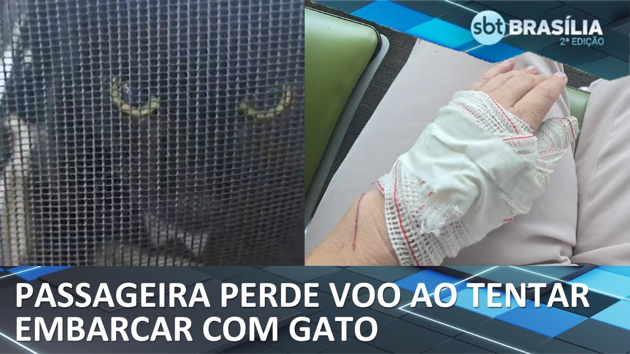 Passageira perde voo apos gato se assustar e fugir em aeroporto | SBT Brasília 2° Edição