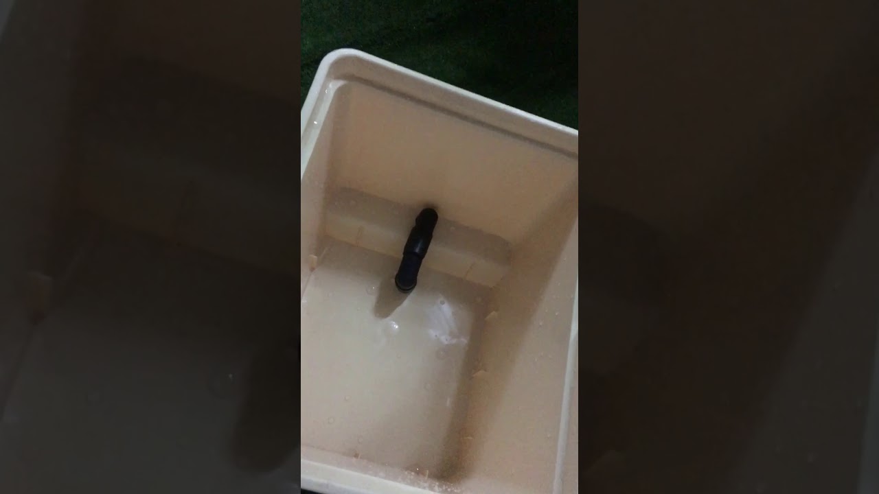 طريقة تركيب الدوتش بوكيت للزراعه المائيه ، dutch bucket system