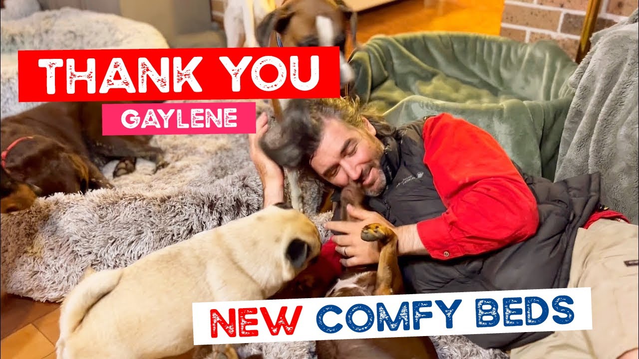 Thank you Gaylene for the Comfy Dog Beds