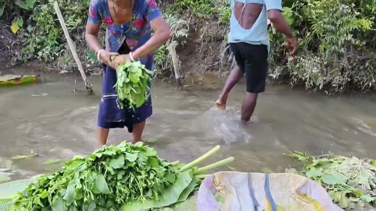 FRESH VEGETABLES FARMING 🧺 