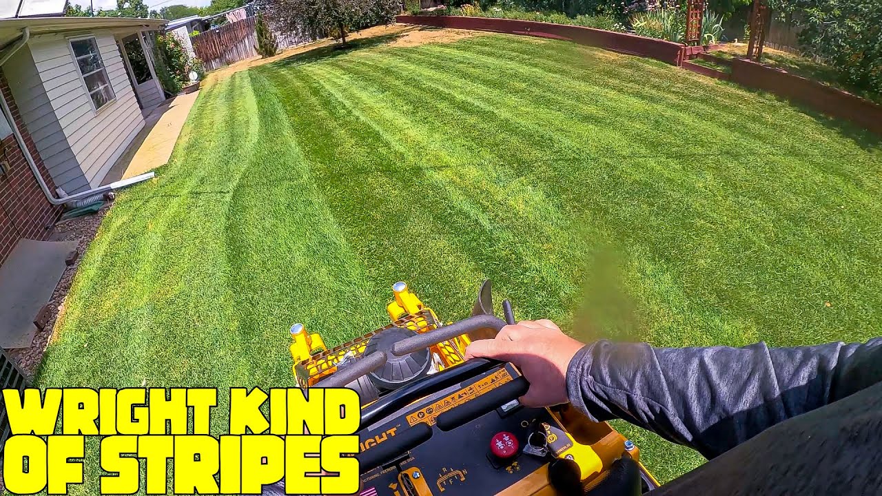 High-Stakes Solo Mowing Challenge: Creating Stripes for Ecstatic Customers |Twitch VOD Tuesday #10