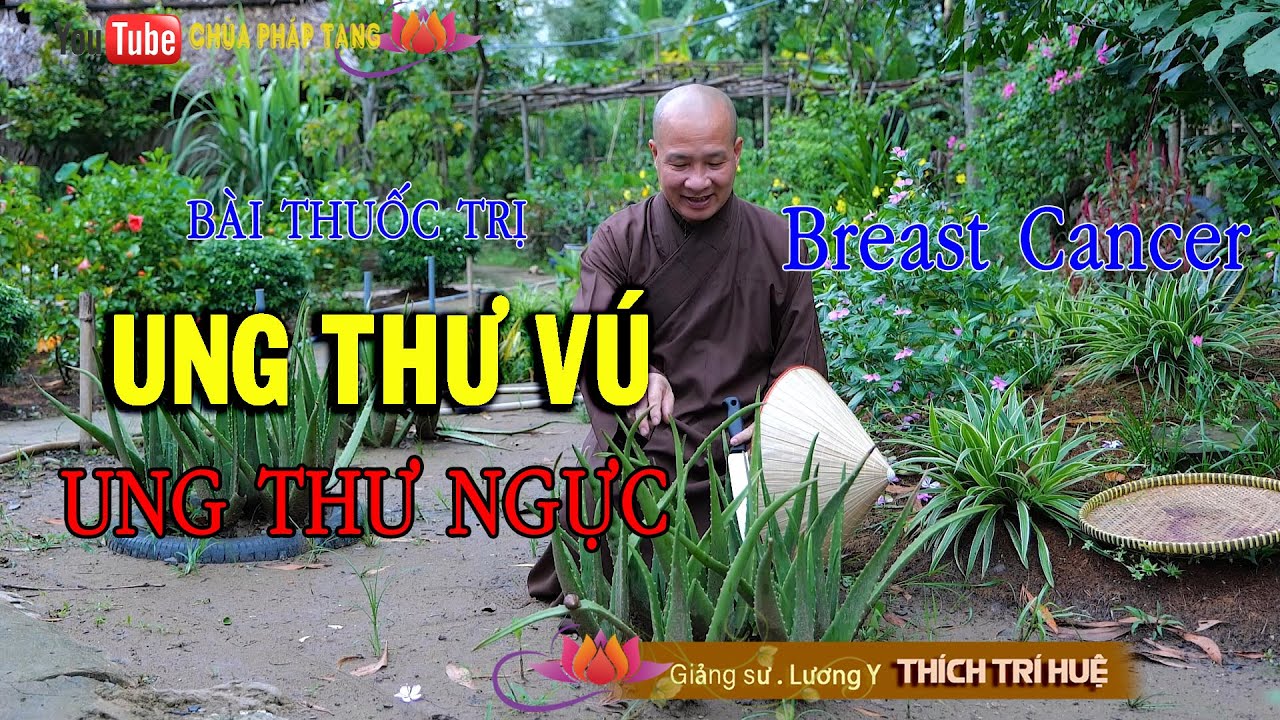 U NGỰC - Rất hay, không thể bỏ qua. Thầy Thích Trí Huệ / Chùa Pháp Tạng