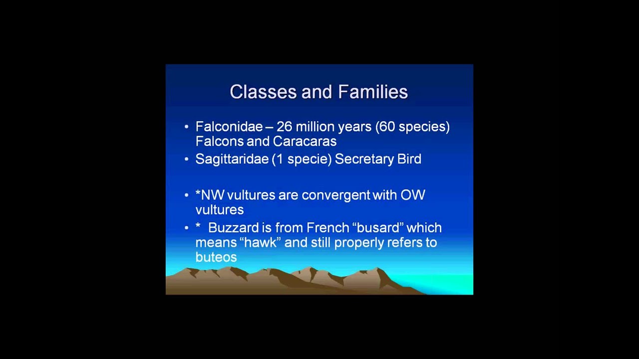 Raptor Biology