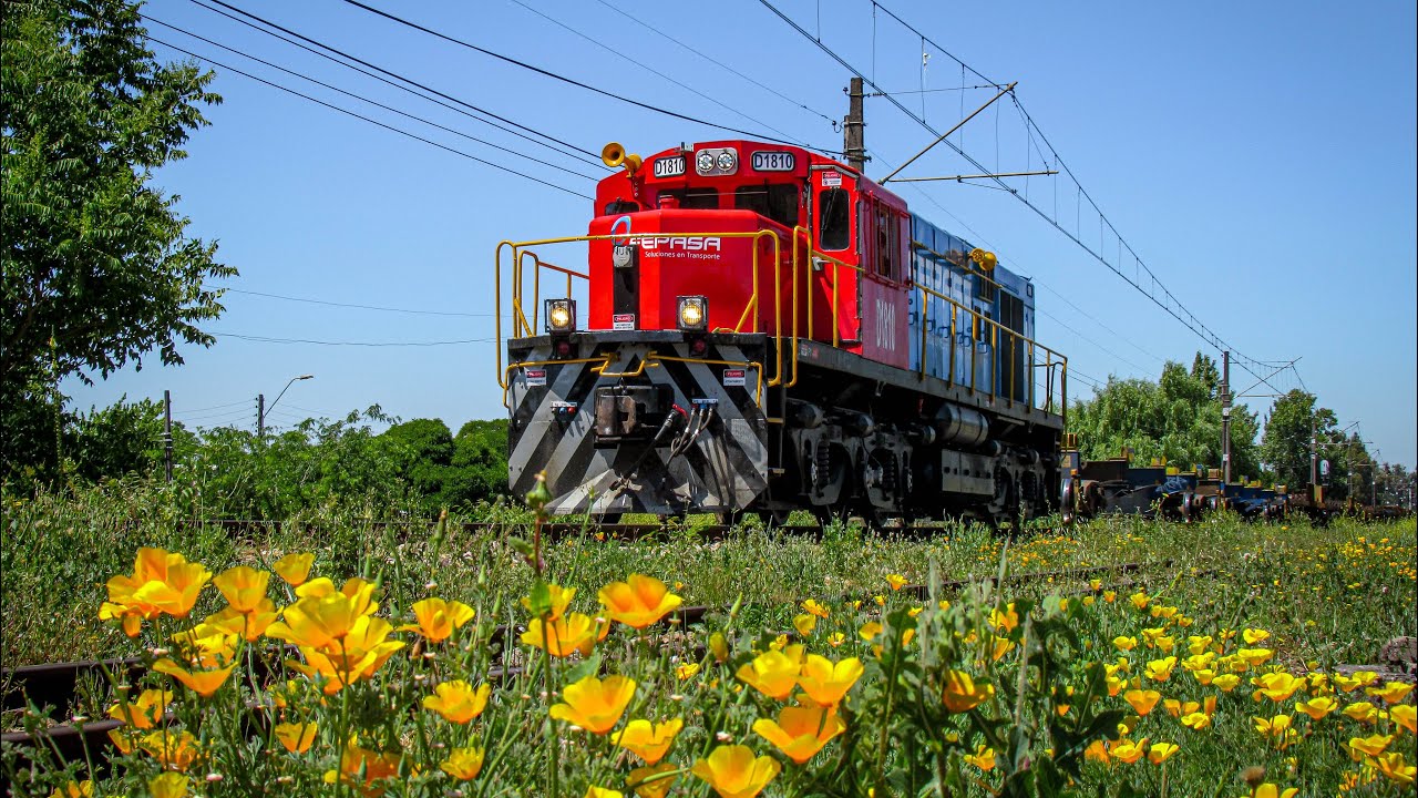 Cargueros Vac&iacute;os con Locomotoras Alco RSD-34 D-18000