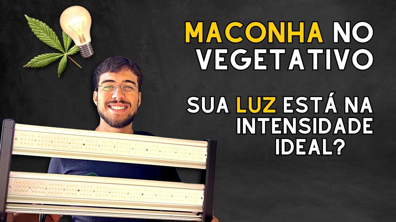 MACONHA - Quanta LUZ utilizar no EST&Aacute;GIO VEGETATIVO (PPFD)