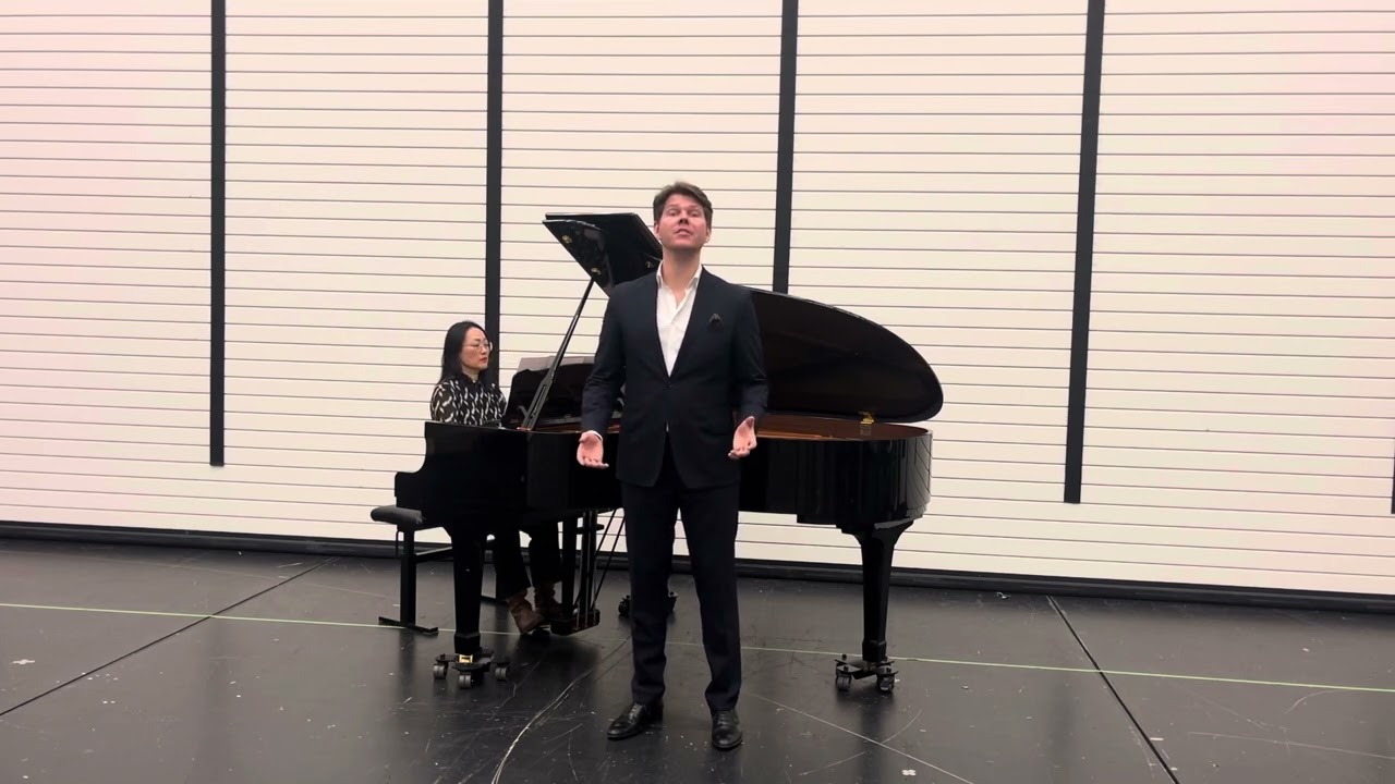 Dies Bildnis ist bezaubernd schön (Mozart), Martin Enger Holm